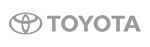 logo-tyt-